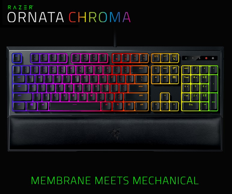 Razer Ornata CHROMA