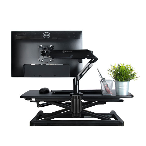 SilverStone ARM12 Monitor Arm